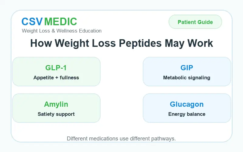 peptide for weight loss chart showing GLP-1 GIP glucagon and amylin pathways