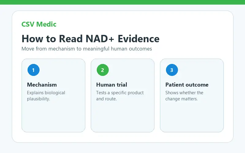NAD peptide evidence ladder from biological mechanism to human clinical outcomes