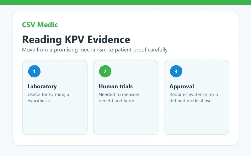 KPV peptide benefits evidence from laboratory research to human trials