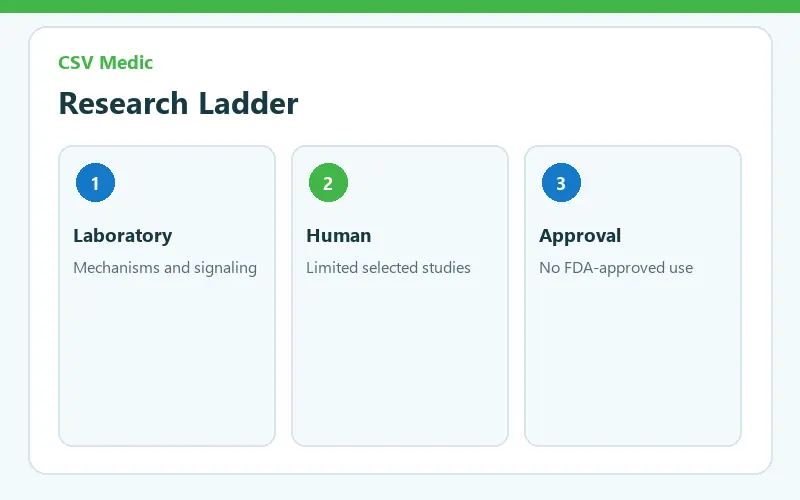 Semax peptide evidence ladder from laboratory mechanisms to limited human research and no FDA approval