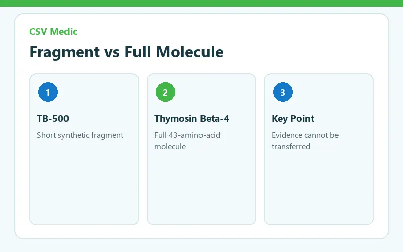 TB 500 peptide compared with full thymosin beta-4 by molecule human evidence and FDA status